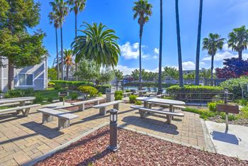 Park with benches